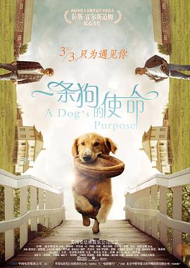 亚洲欧美日韩精品久久亚洲区
